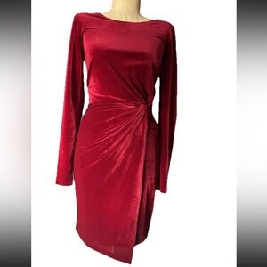 love...ady Red Velvet Mini Dress